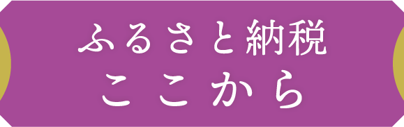 ふるさと納税 ここから